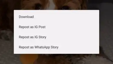 Captura de tela de InstaPrime 2