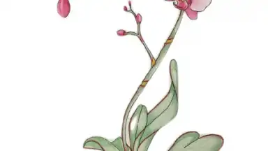 Captura de tela de Shuffles by Pinterest 2