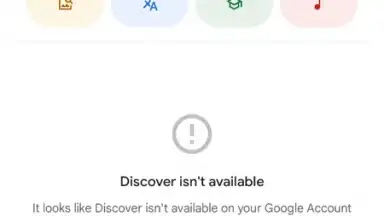 Captura de tela de Google App 1