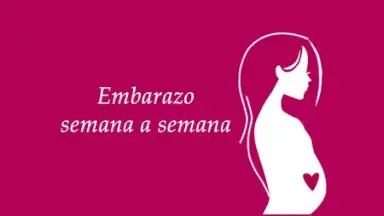 Captura de tela de Semanas Embarazo 7