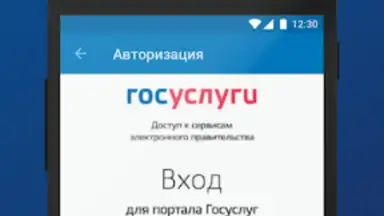 Captura de tela de ПФР Электронные сервисы 6