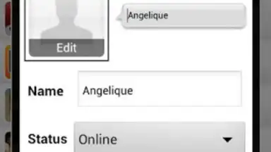 Captura de tela de eBuddy Messenger 1