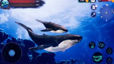 Captura de tela de The Humpback Whales 18