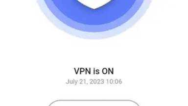 Captura de tela de Veilduck VPN 1
