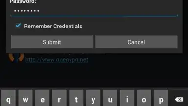 Captura de tela de OpenVPN Connect 14