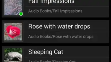 Captura de tela de Music Folder Player Free 2