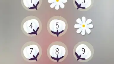 Captura de tela de PIP Lock Screen 23