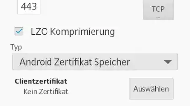 Captura de tela de OpenVPN 7