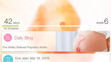 Captura de tela de Pregnancy + 17