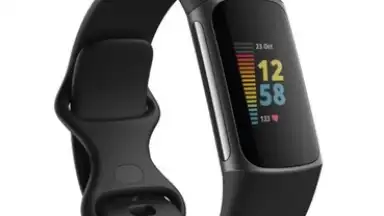 Captura de tela de Fitbit 11