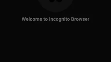 Captura de tela de Private Browser 1