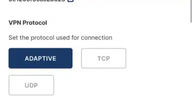 Captura de tela de OpenVPN Connect 11