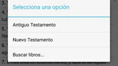 Captura de tela de La Santa Biblia 3