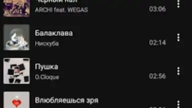 Captura de tela de BiRD - Музыка из ВК 3