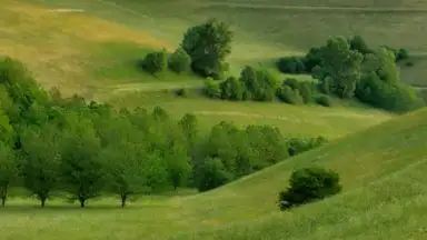 Captura de tela de Yandex Launcher 1