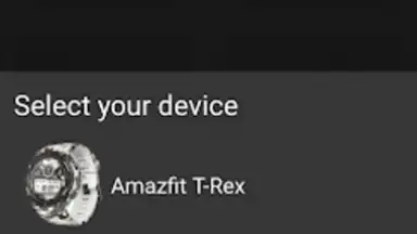 Captura de tela de Amazfit T-Rex - Watch Face 6