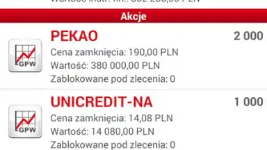 Captura de tela de Bank Pekao 2