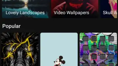Captura de tela de Zedge 16