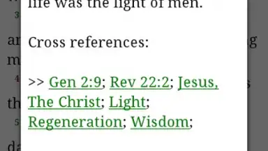 Captura de tela de Bible-Discovery 6