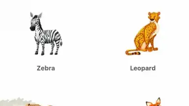 Captura de tela de My Zoo 4
