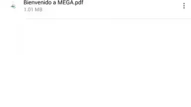 Captura de tela de MEGA 5