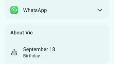 Captura de tela de Google Contacts 4