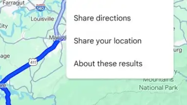 Captura de tela de Google Maps 12