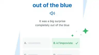 Captura de tela de Reverso Translation Dictionary 25