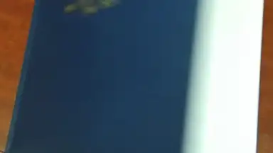 Captura de tela de GfyCat 5