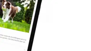 Captura de tela de RP ONLINE 6