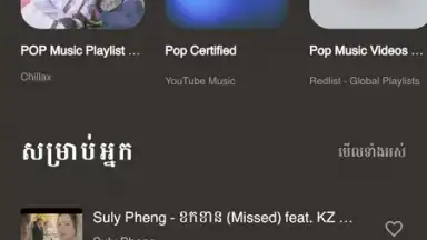Captura de tela de Moosic - Youtube music player 7