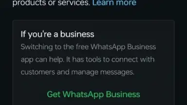 Captura de tela de WhatsApp Business 1