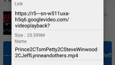 Captura de tela de GDM - YouTube Video Downloader 13