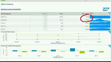 Captura de tela de SAP BI 2
