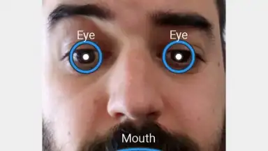 Captura de tela de FaceSwap 4