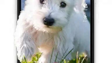 Captura de tela de TikTok Lite 15