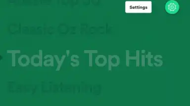 Captura de tela de Spotify Stations 14