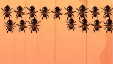 Captura de tela de Ant Smash Game 5