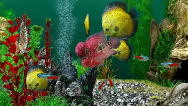 Captura de tela de AquaLife 3D 1