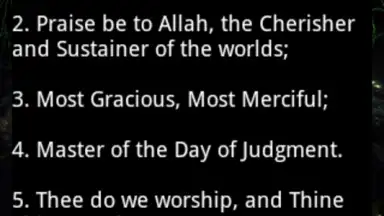 Captura de tela de Holy Quran video and MP3 1