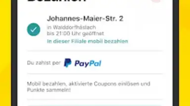 Captura de tela de Netto App 5