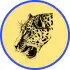 Browser Leopard apk