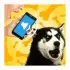 Собачий Переводчик apk