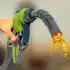 Gas Filling Junkyard Simulator apk