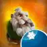 Legend of Solgard apk
