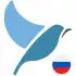 Bluebird Russian apk