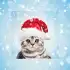 Christmas Pho.to Frames apk