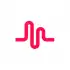 musical.ly Lite apk