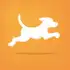 FetchRewards apk