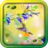 Colibri Spring 3D LWP APK